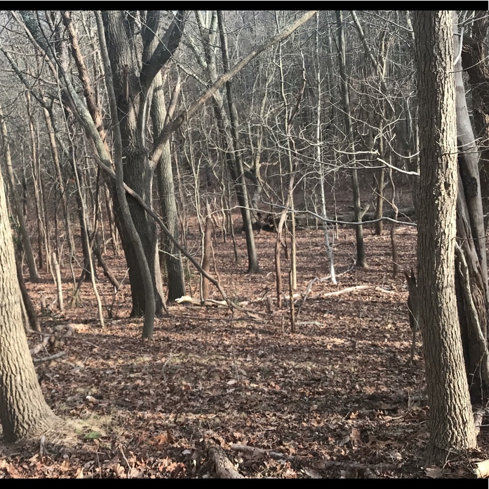 Meet your Posher, Lorenzo